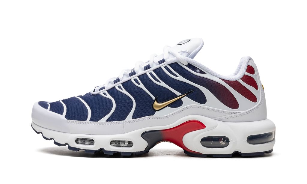 Air Max TN Plus PSG