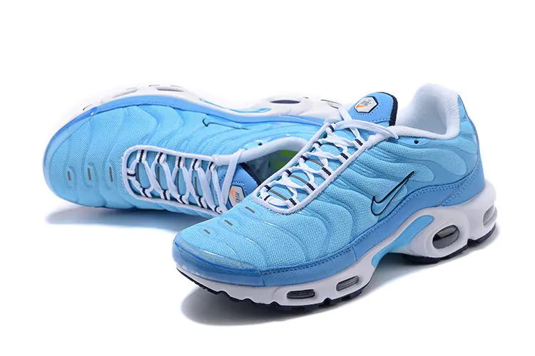 Air Max Tn 1 “First Use University Blue"