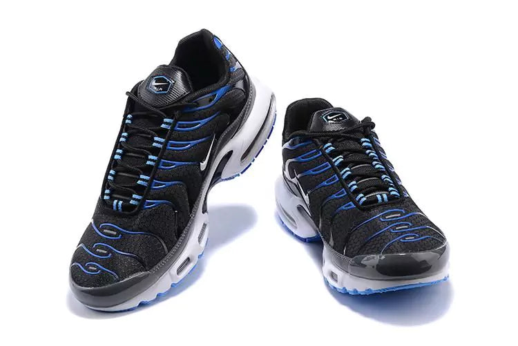 Air Max Tn 1 'Black Royal'