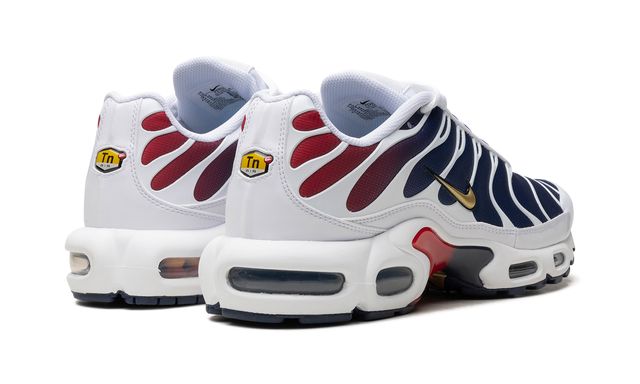 Air Max TN Plus PSG