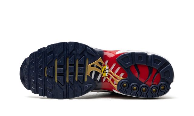 Air Max TN Plus PSG