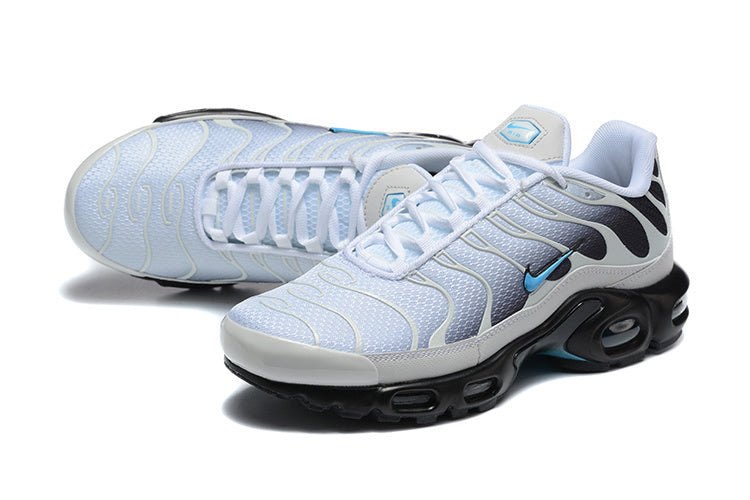 Air Max Tn 1 "Dark Blue"