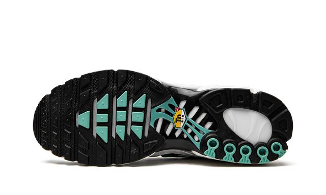 Air Max Plus TN 1 Atmos