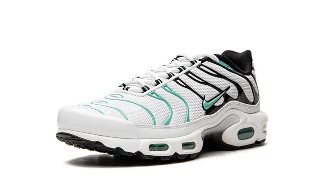 Air Max Plus TN 1 Atmos