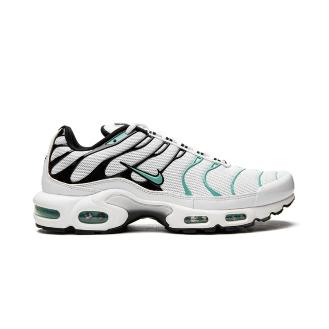 Air Max Plus TN 1 Atmos