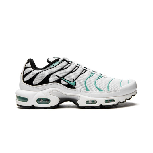 Air Max Plus TN 1 Atmos