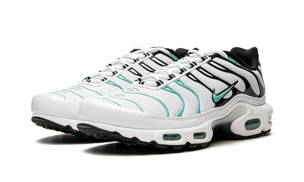 Air Max Plus TN 1 Atmos