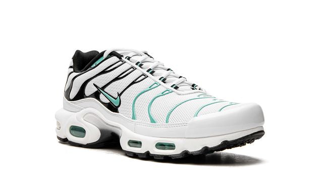 Air Max Plus TN 1 Atmos