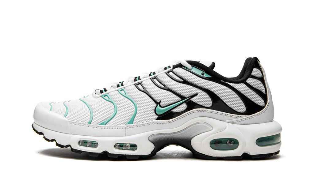 Air Max Plus TN 1 Atmos