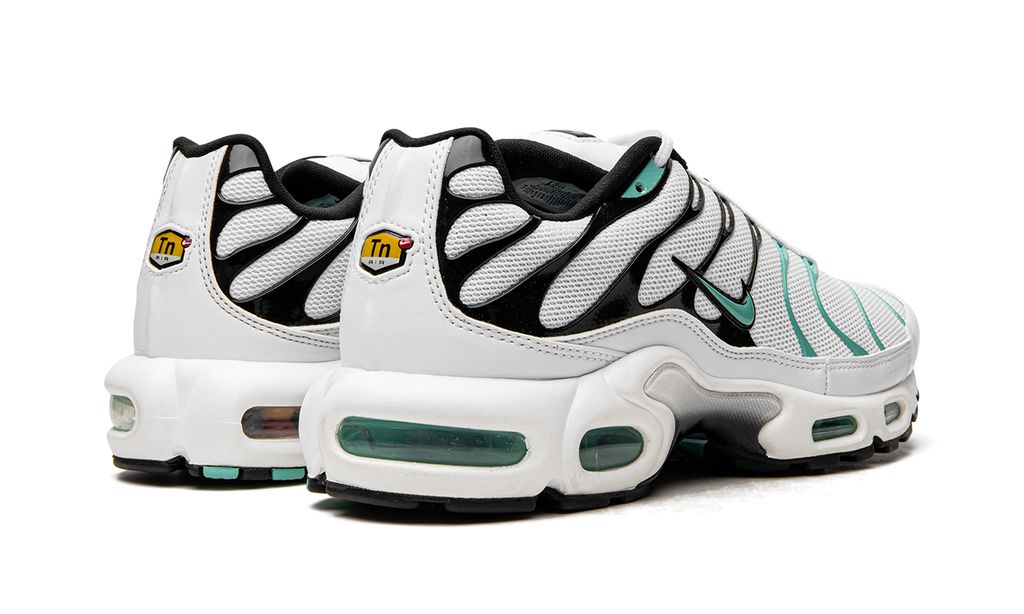 Air Max Plus TN 1 Atmos