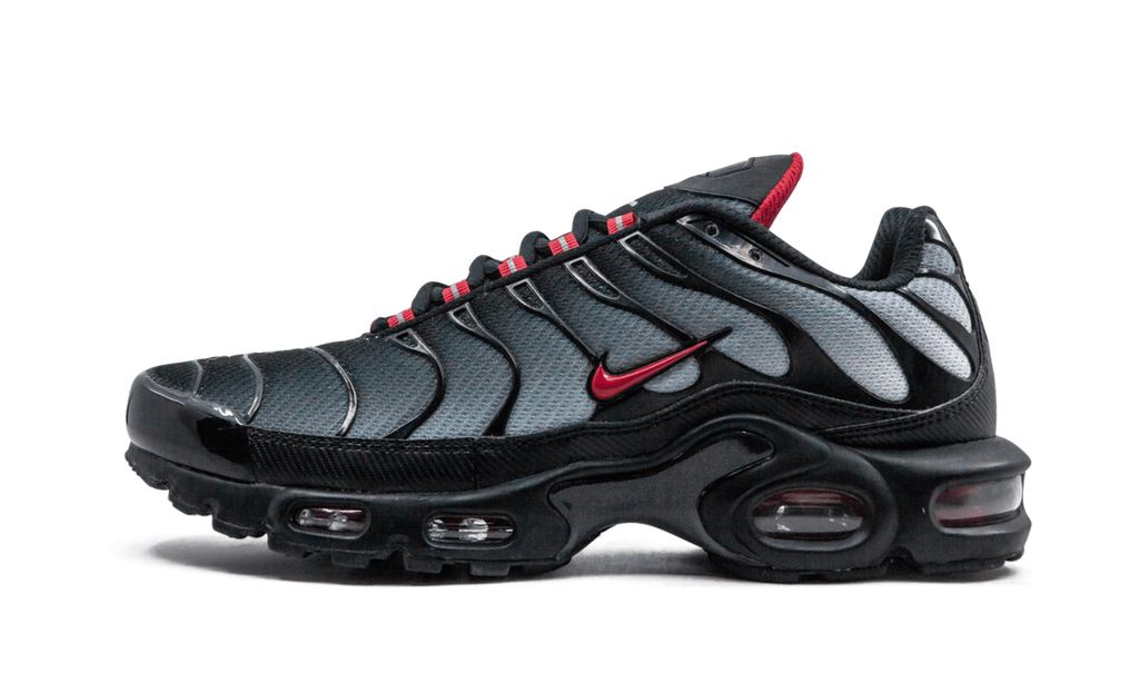 Air Max Plus TN 1 Blue and Red