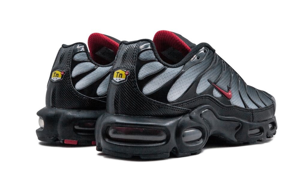 Air Max Plus TN 1 Blue and Red