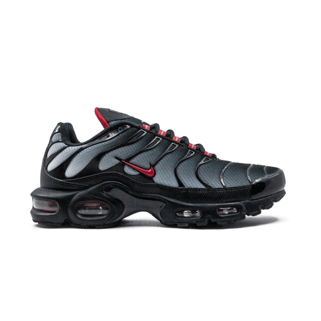 Air Max Plus TN 1 Blue and Red