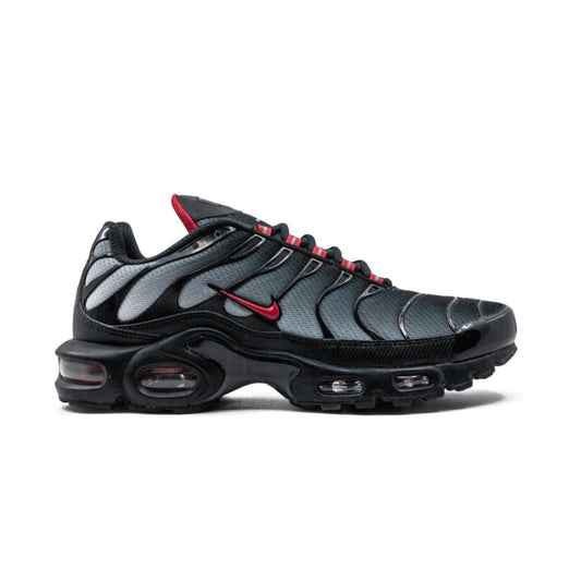 Air Max Plus TN 1 Blue and Red