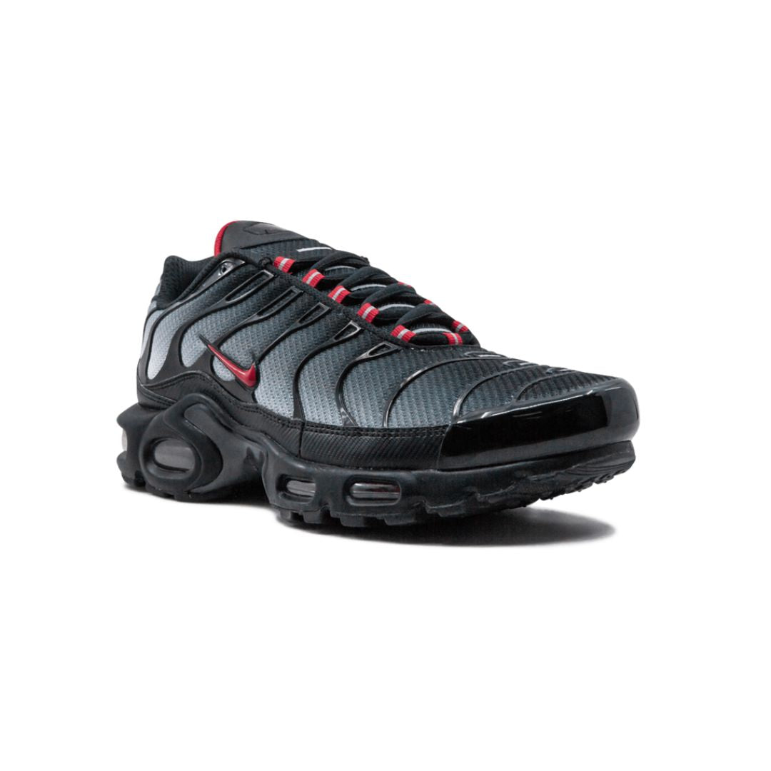 Air Max Plus TN 1 Blue and Red