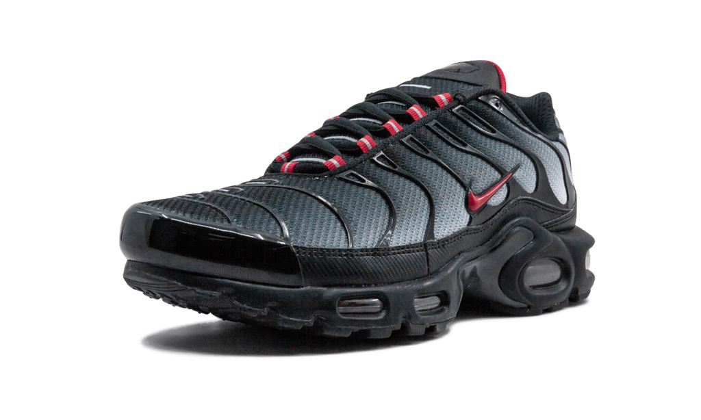 Air Max Plus TN 1 Blue and Red