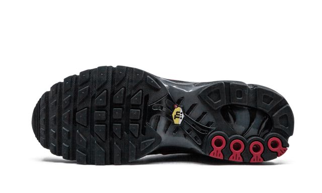 Air Max Plus TN 1 Blue and Red