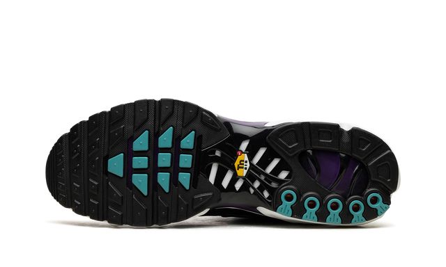 Air Max Plus TN 1 Reverse Grape