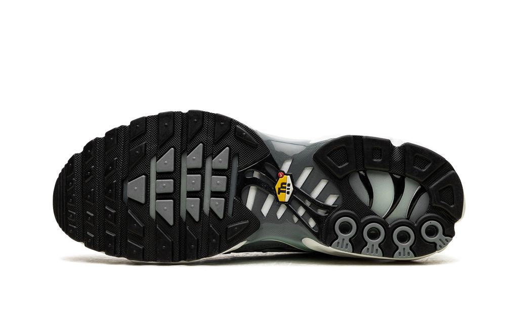 Air Max Plus TN 1 Waterway