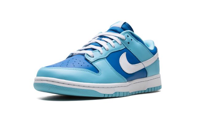 Nike Dunk Low Retro Argon