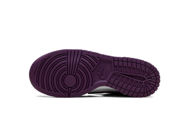 Nike Dunk Low Viotech